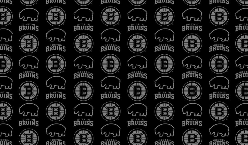 Bruins Centennial Package- Bruins Custom Snowmobile & 2 Bruins Centennial Game Tickets  featured background